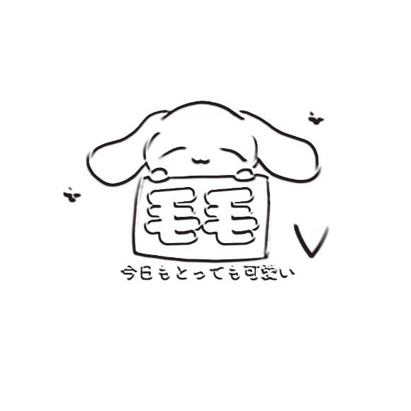 毛毛💫