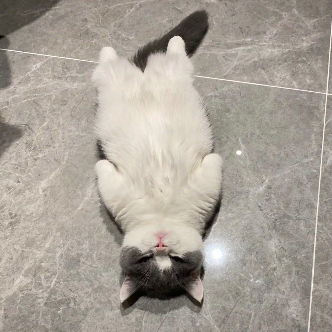 yuantian.