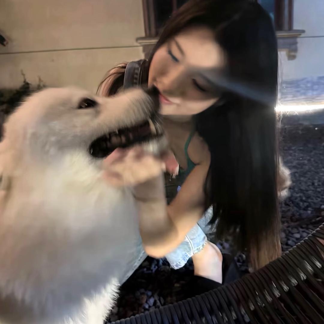 i：雪芬
