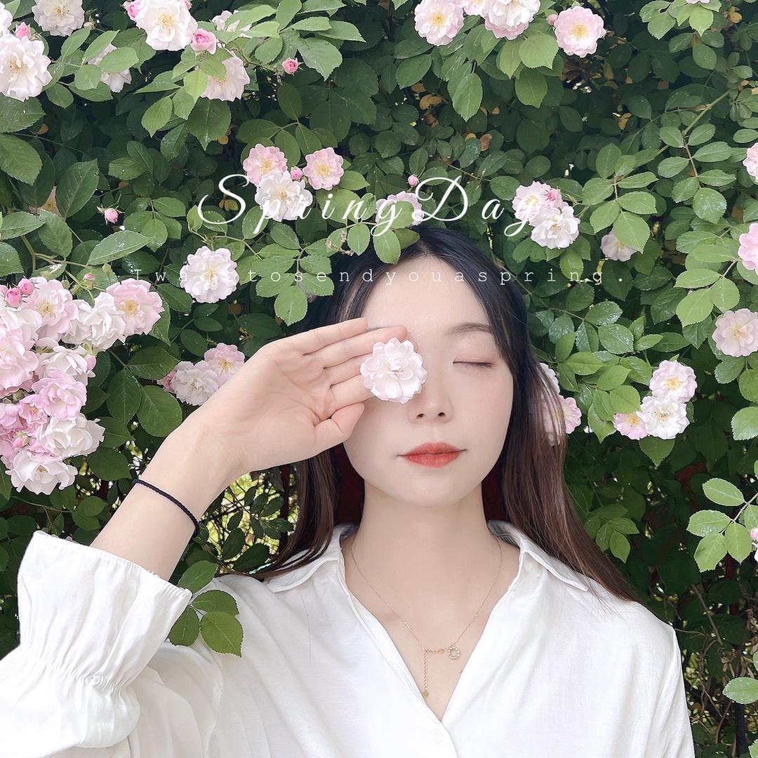 杨小花儿