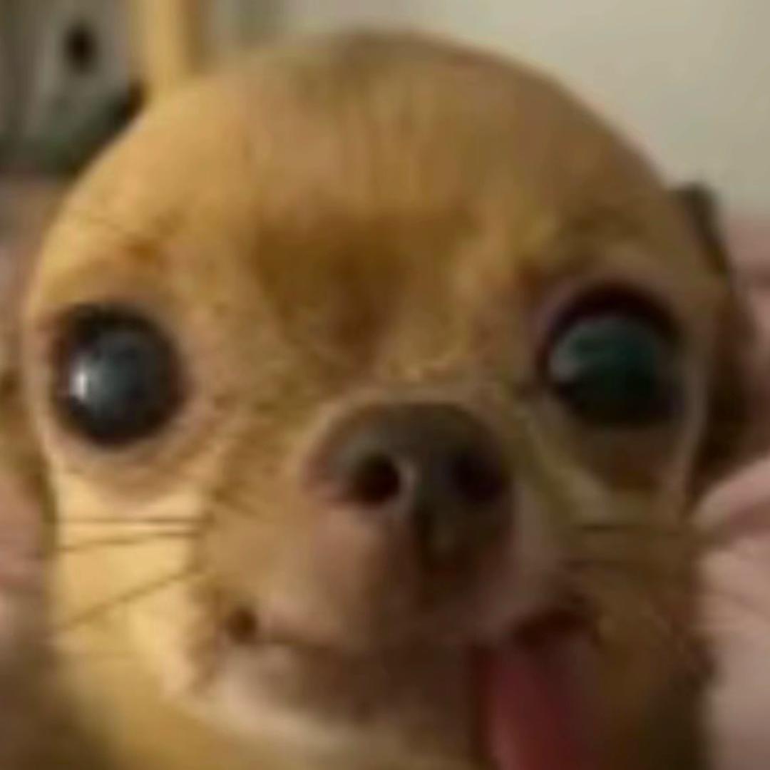 麦恩莉
