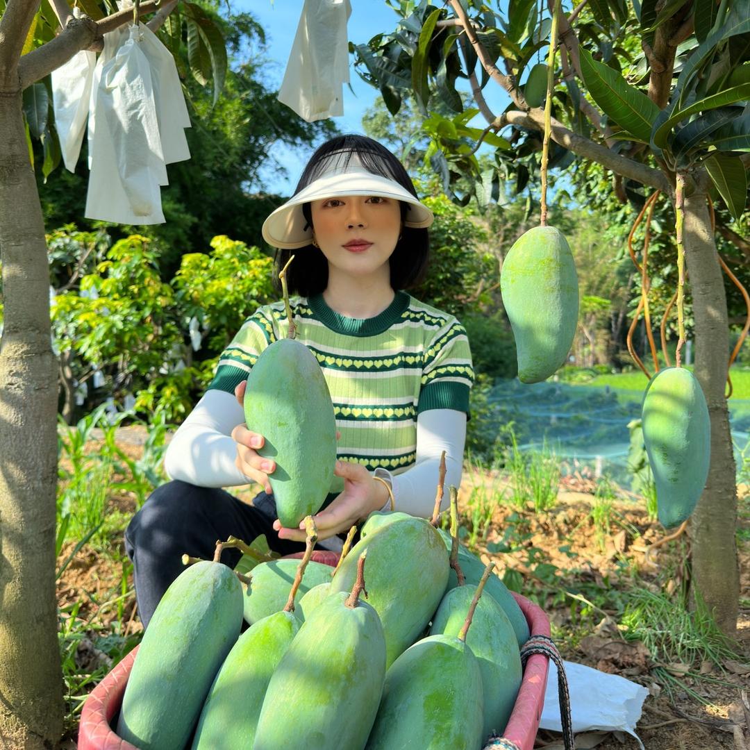 攀枝花的小胖花🤗