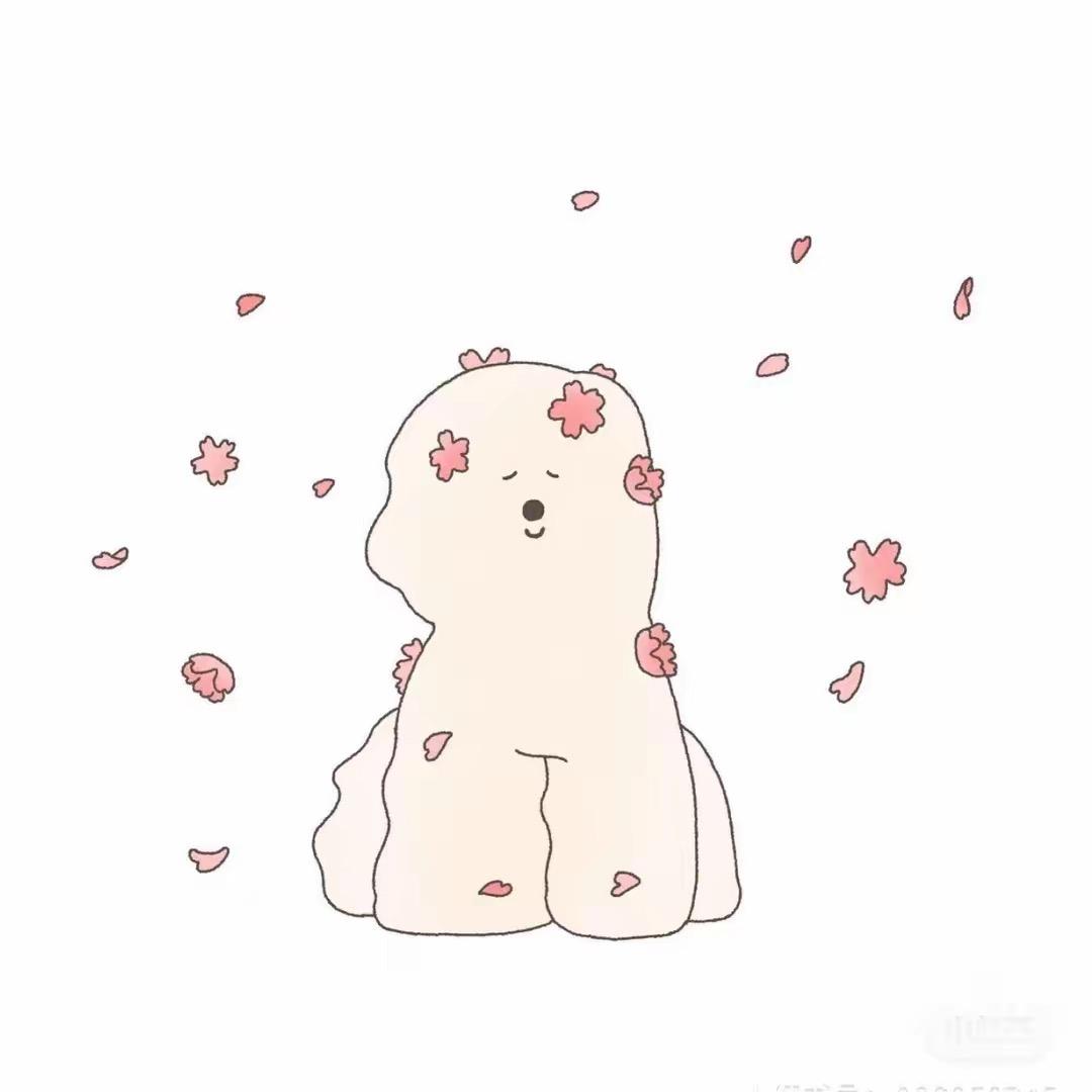 汤圆不圆🤟
