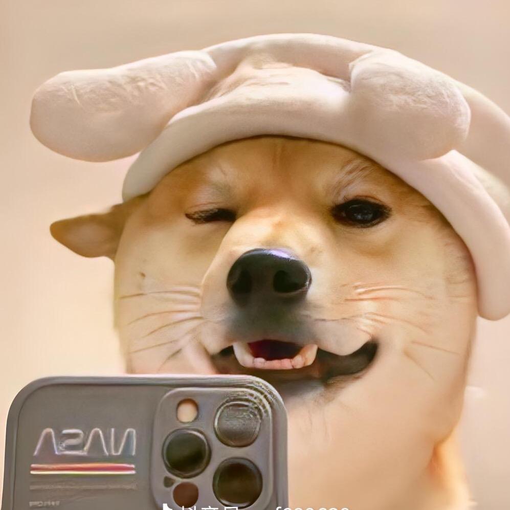 独  行,💰