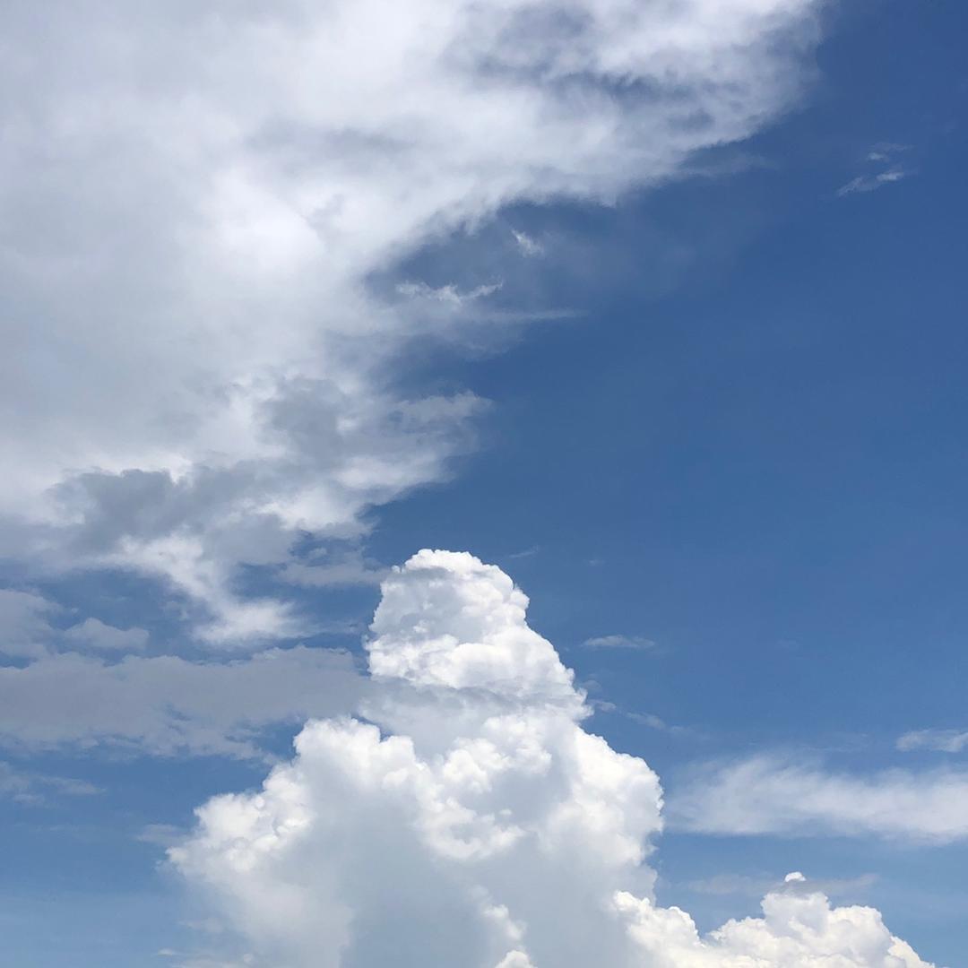 @与辉同行