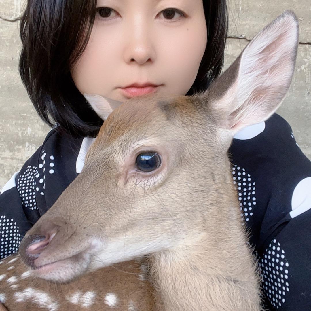 平乡县梅花鹿养殖杜姐