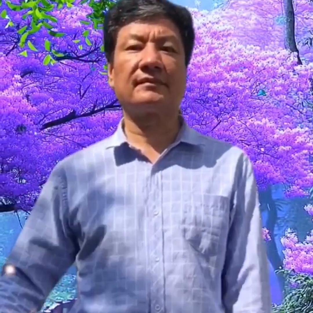 青青松松63