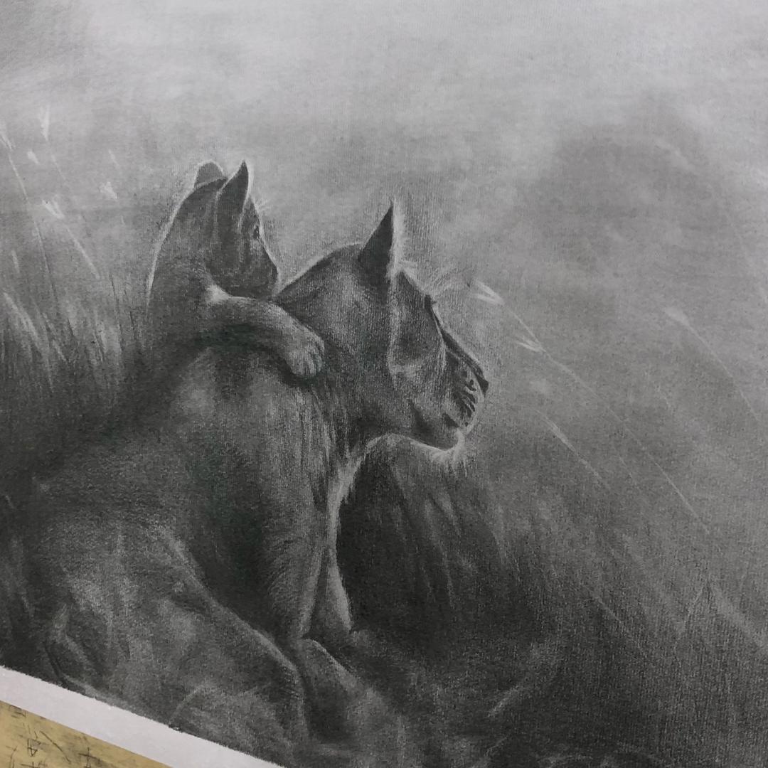 【聚贤】小yin同学～