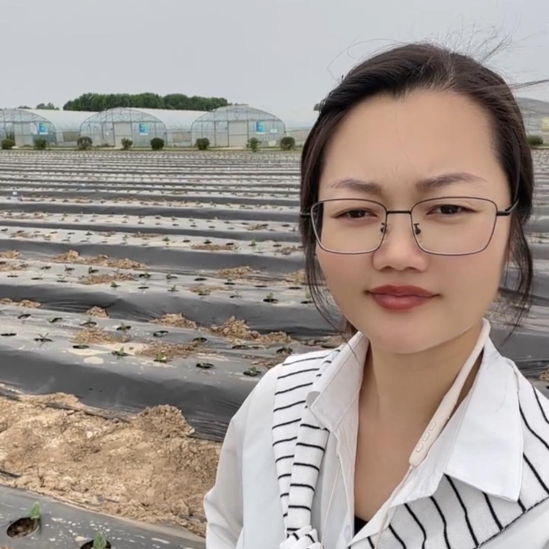 豆娇 黄老师