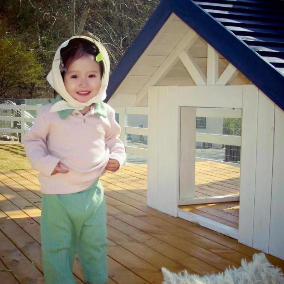 不会说话的蛋挞