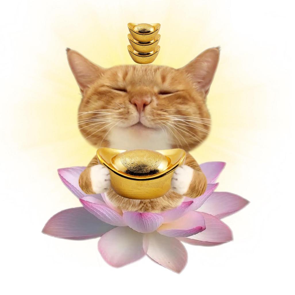 小郭生活日记👧