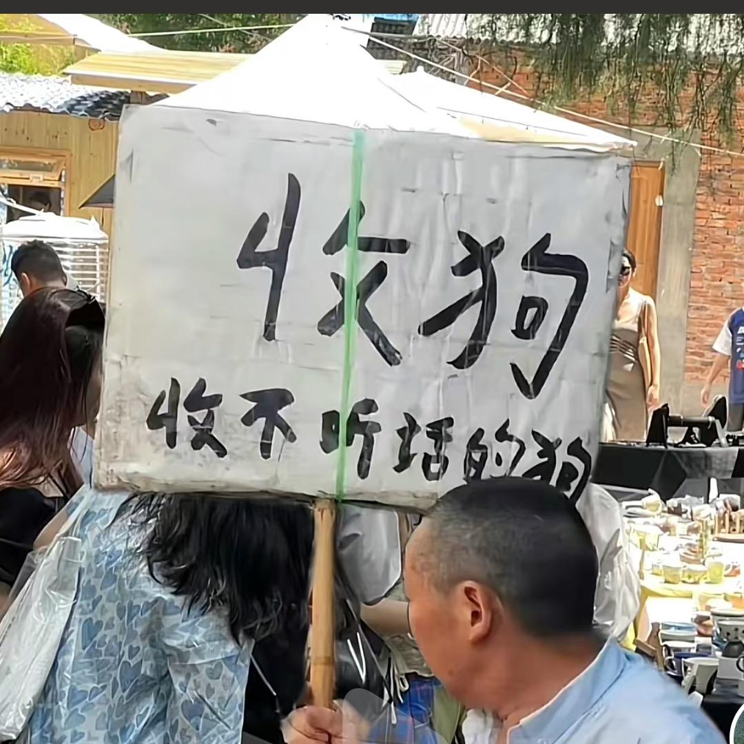 撒拉嘿