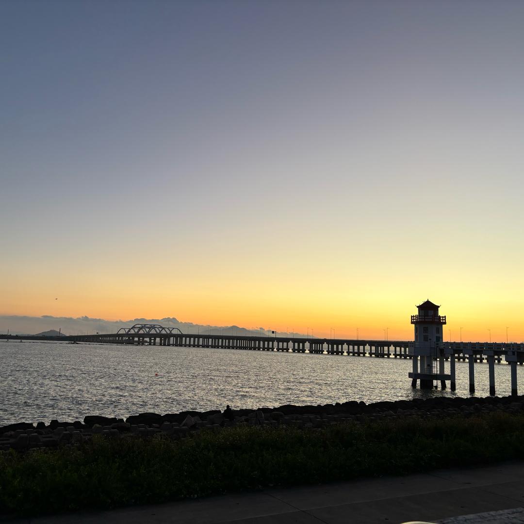 派大星这个笨蛋