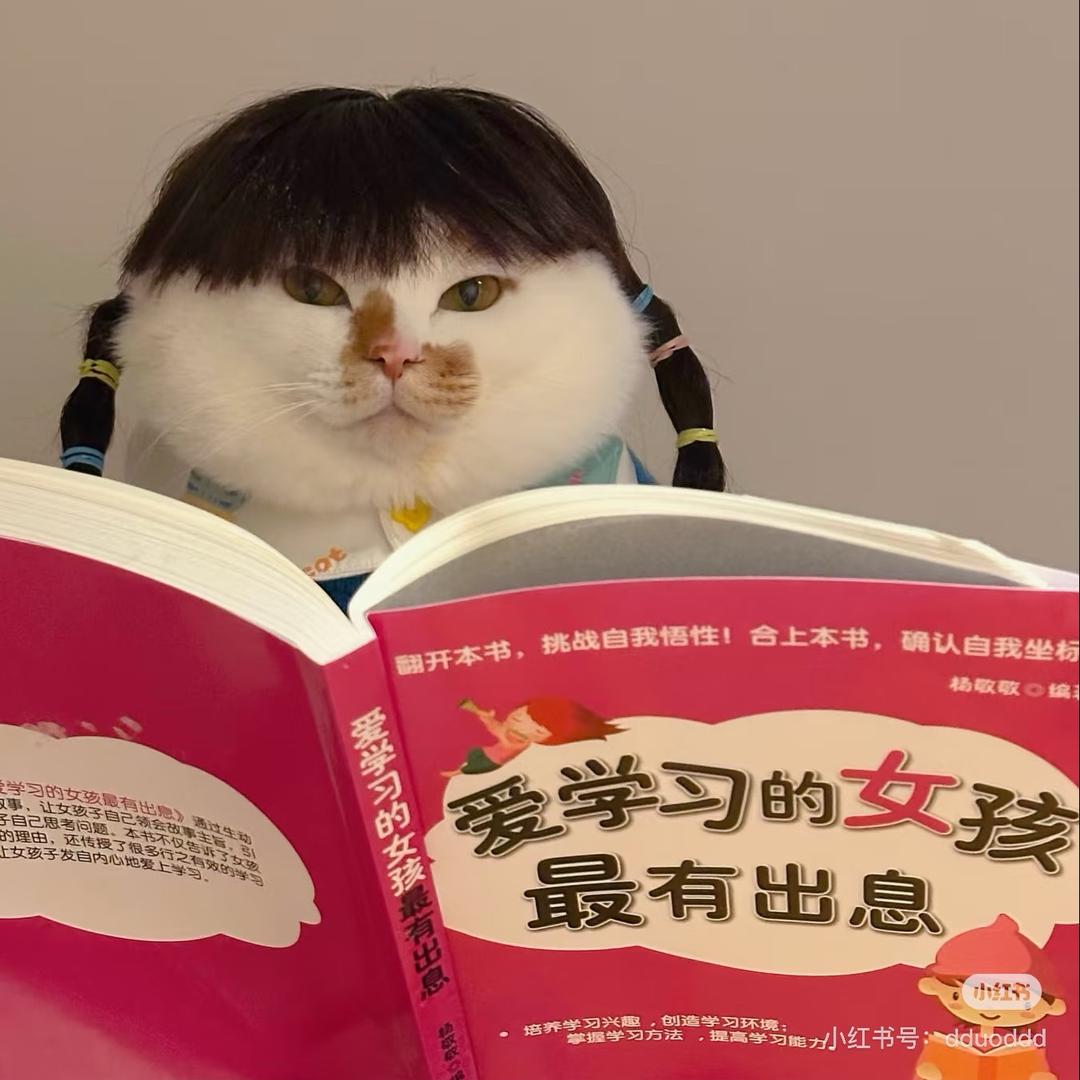 珊迪○