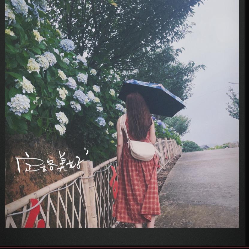 桃子@