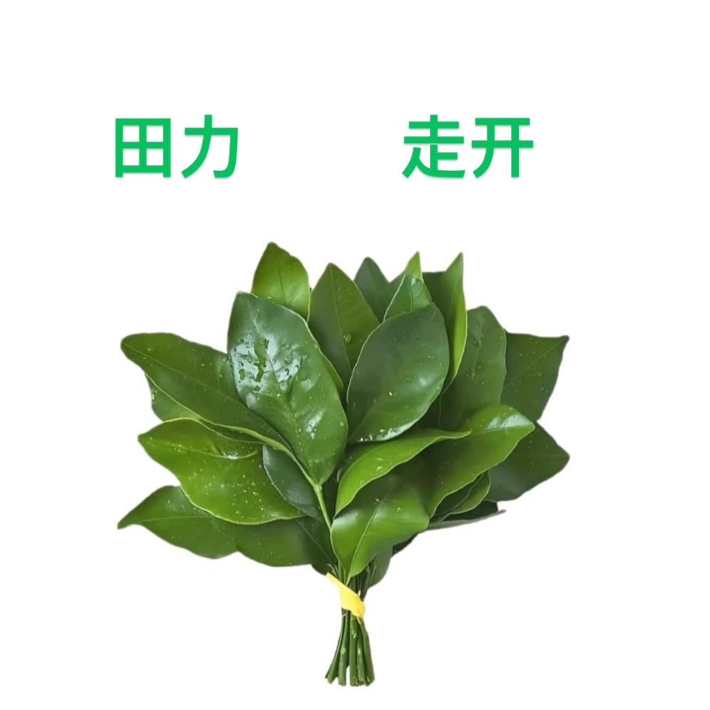 有剥削就有反抗