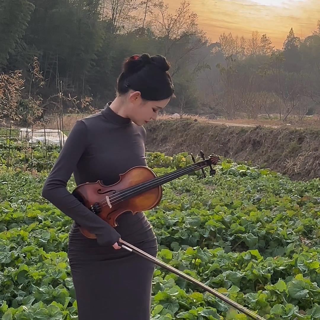 糖小提🎻