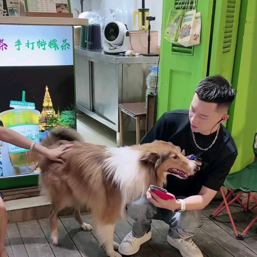 户外王【小号】
