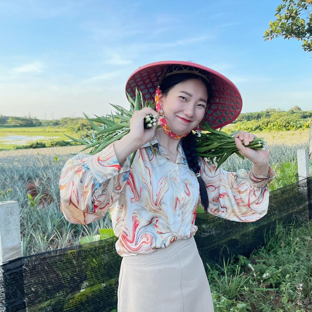 一物一拍绿植盆栽