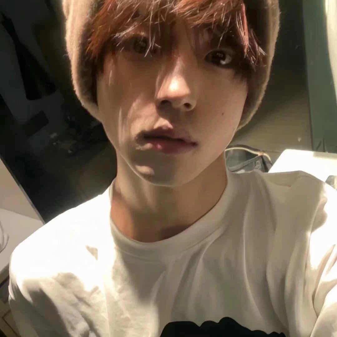 朽木里的诗