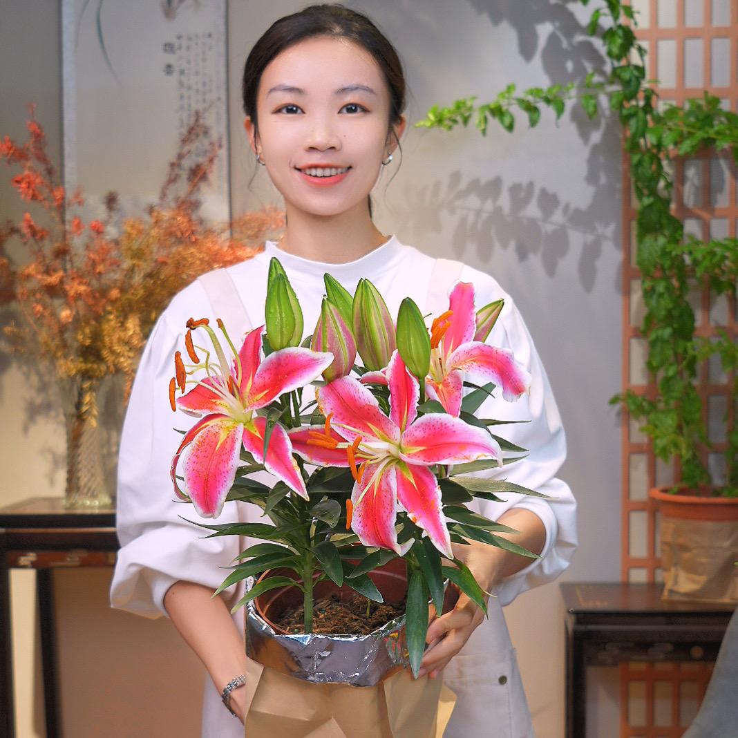 知琪说绿植