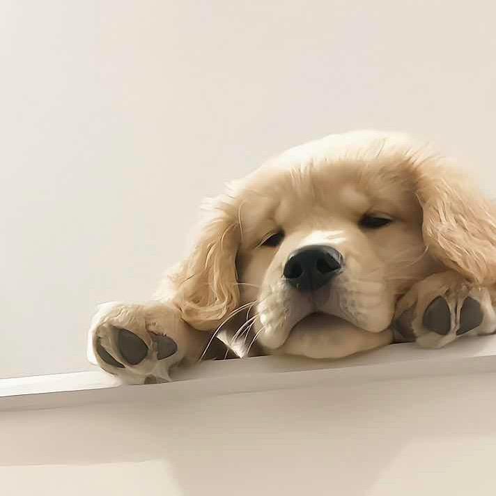 1⃣️
