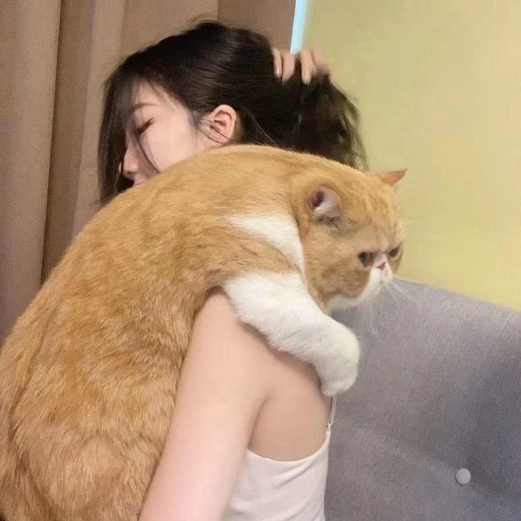 N.