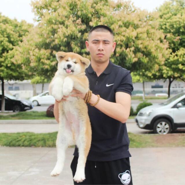 在逃老狗@腊肠犬