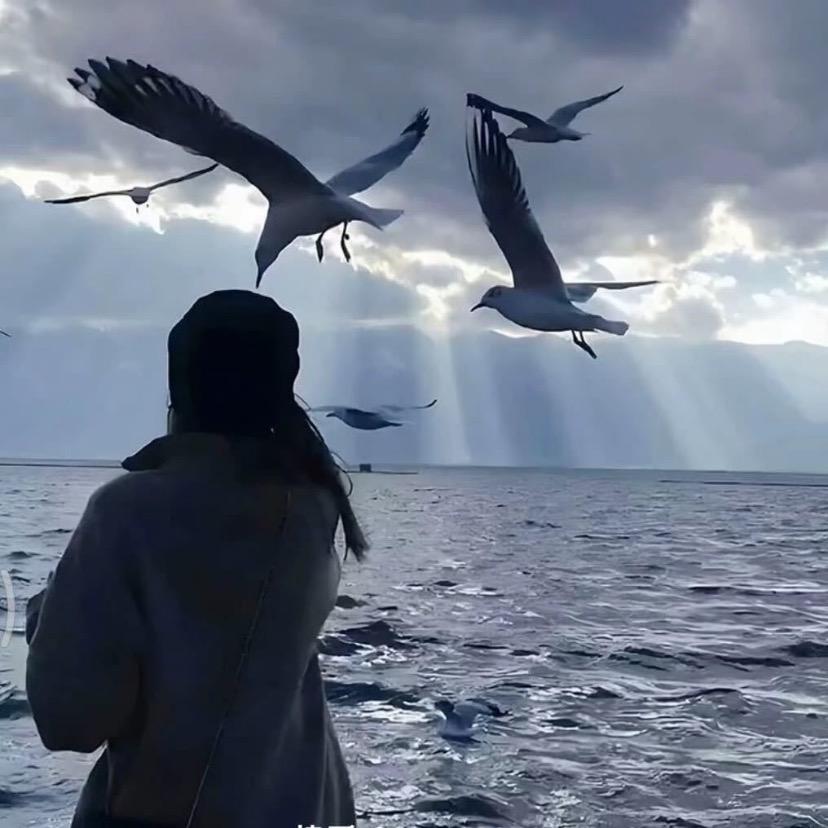 不喝得的饺子🥟｝