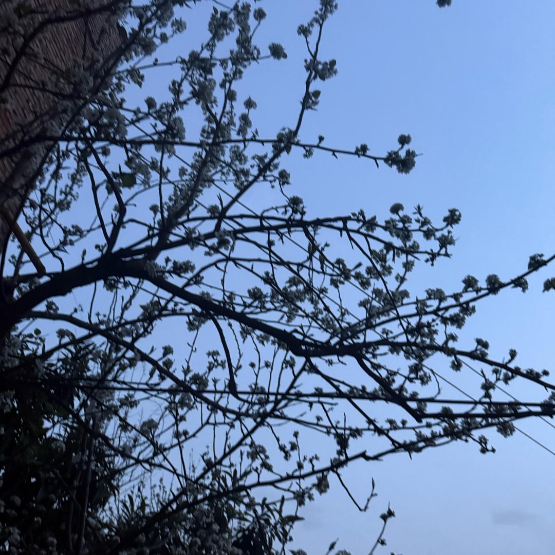 农业机械