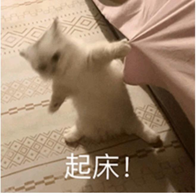 @龙塘铁板哥（百万炸炸铁板烧）