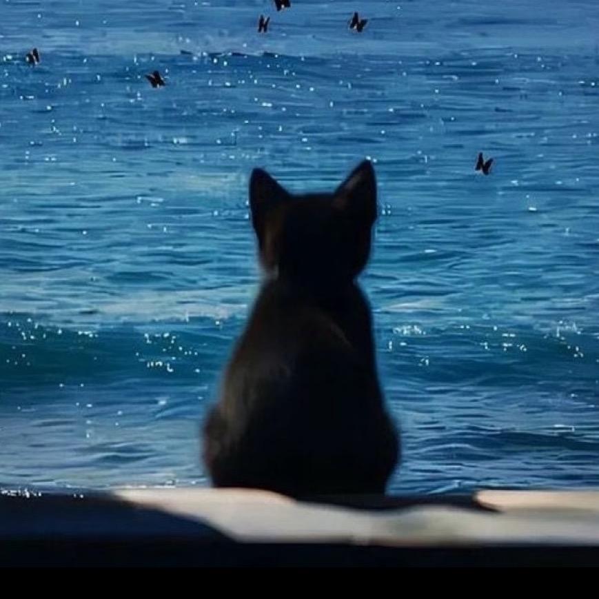 Odd Guy企鹅到达北极