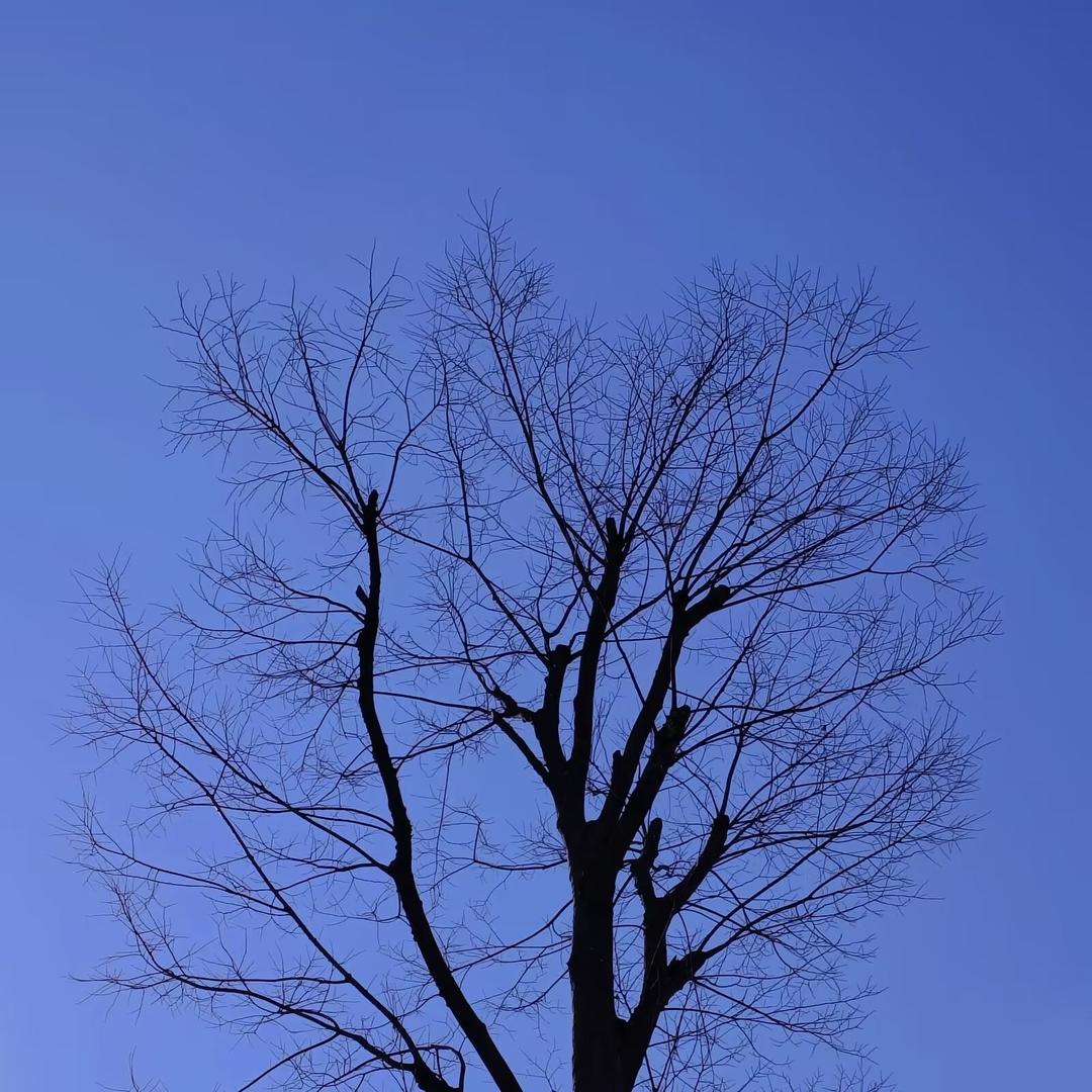 居正📷