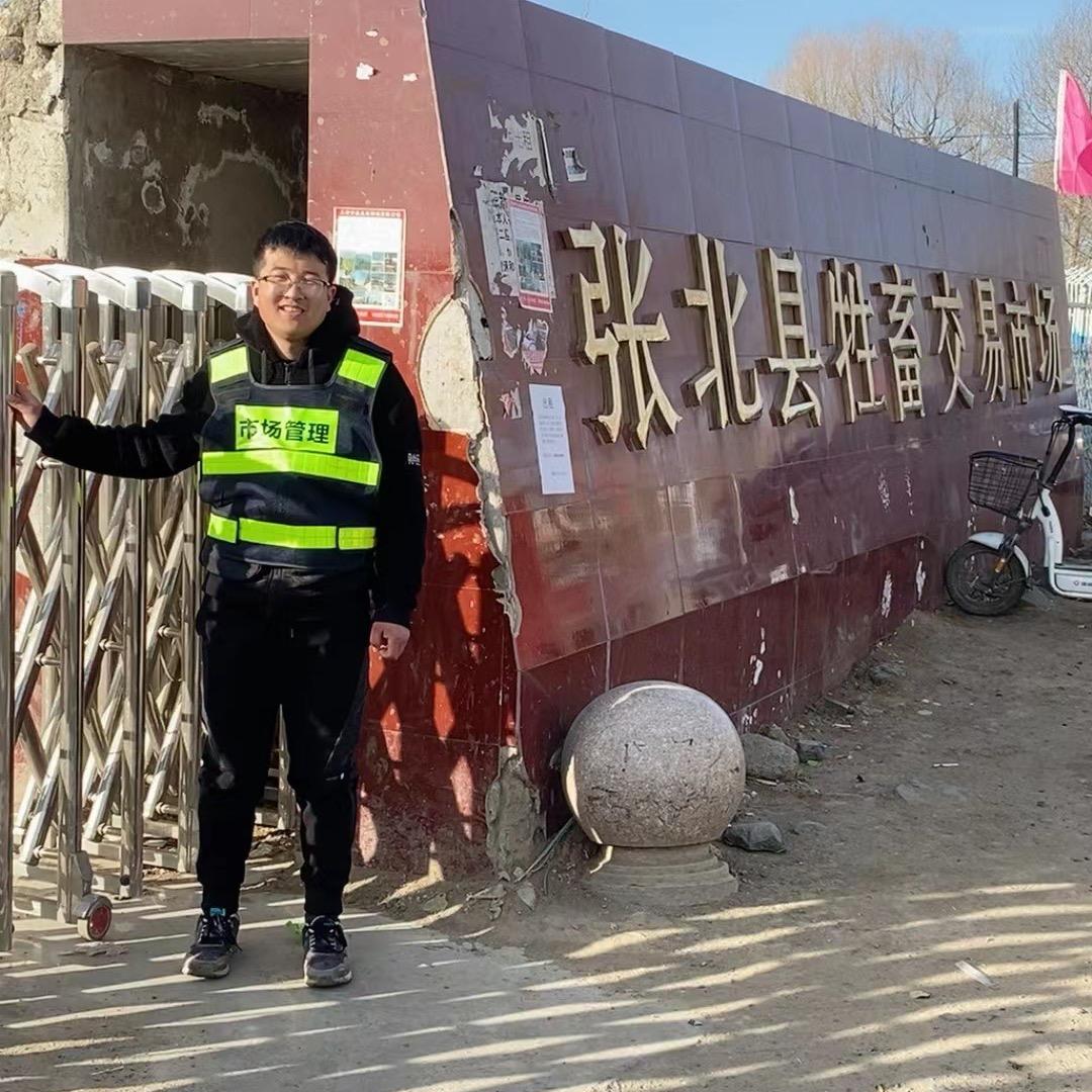张北牛市小帅
