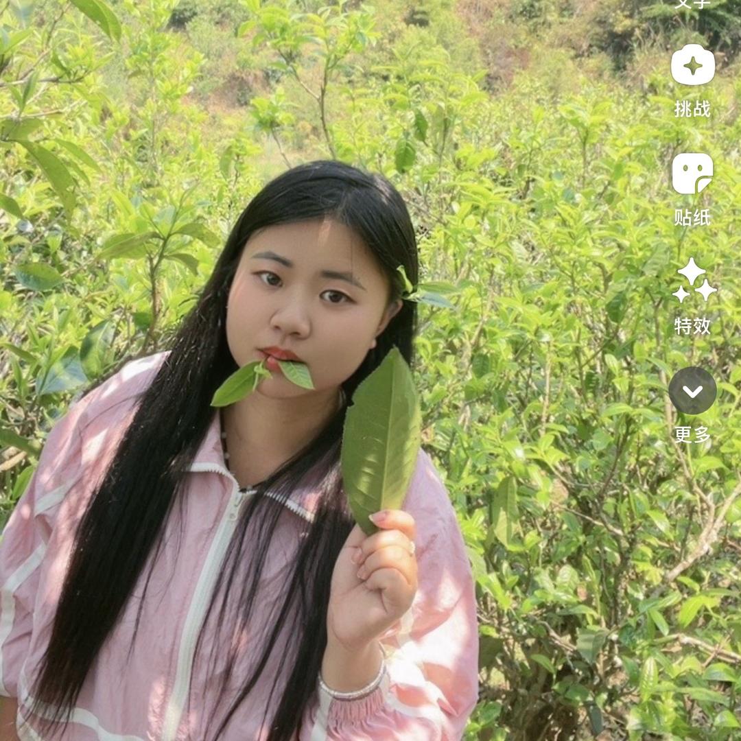 源头茶农小张的茶🍵