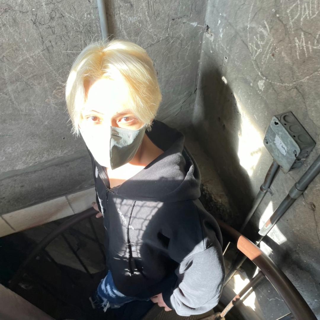 追（见过张杰版）