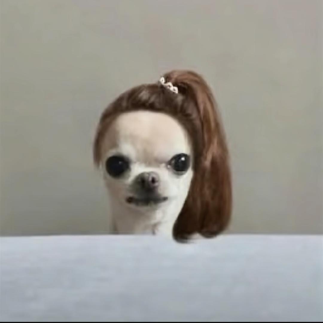 道上都叫我萌少