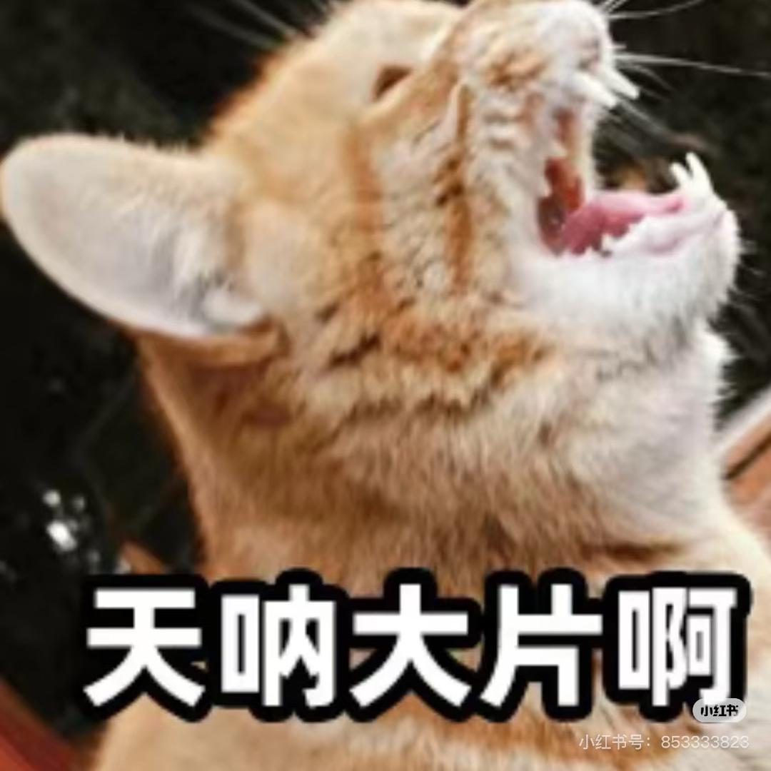 成都jio摄（出图）