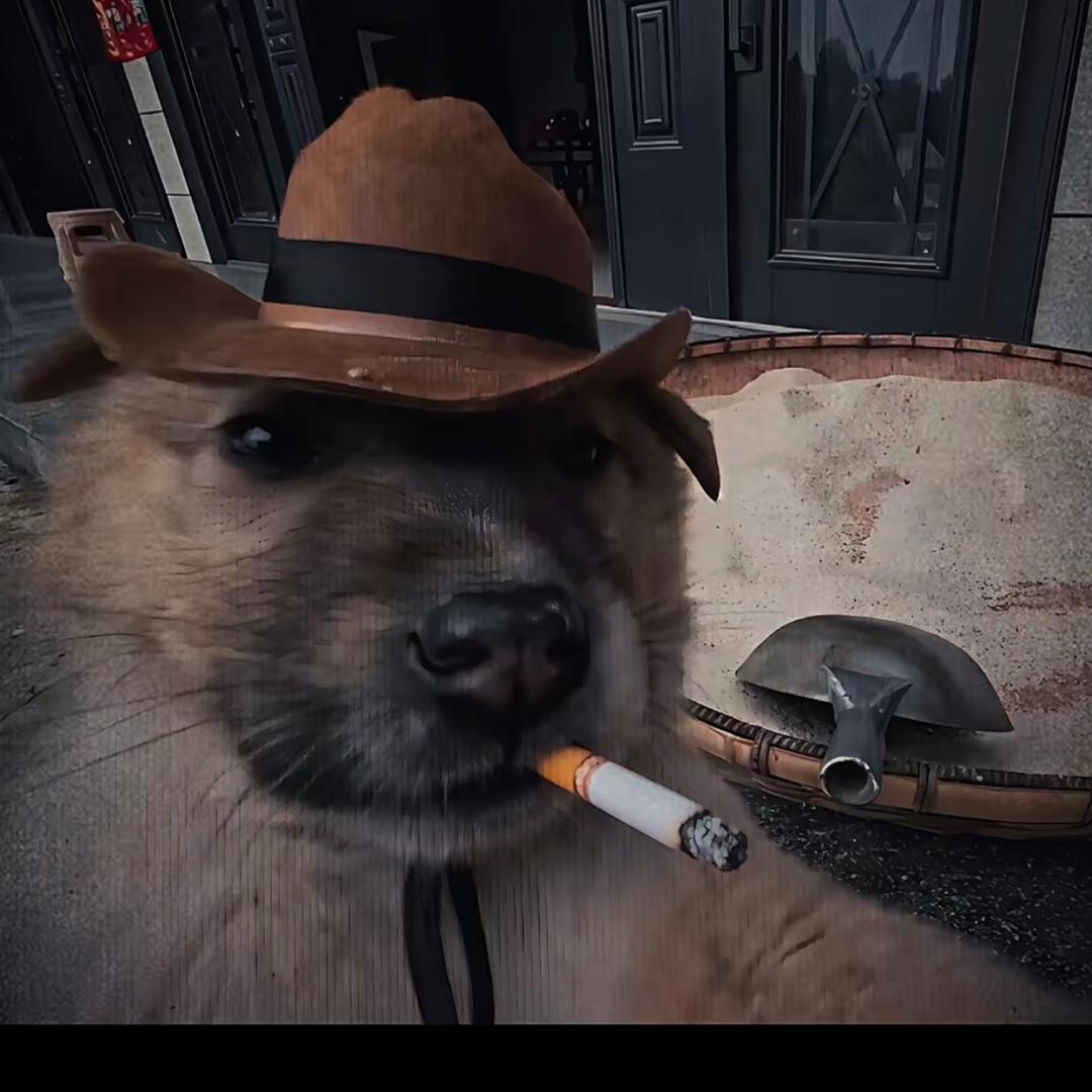 AAA专业套狗周师傅（贵州套狗王）