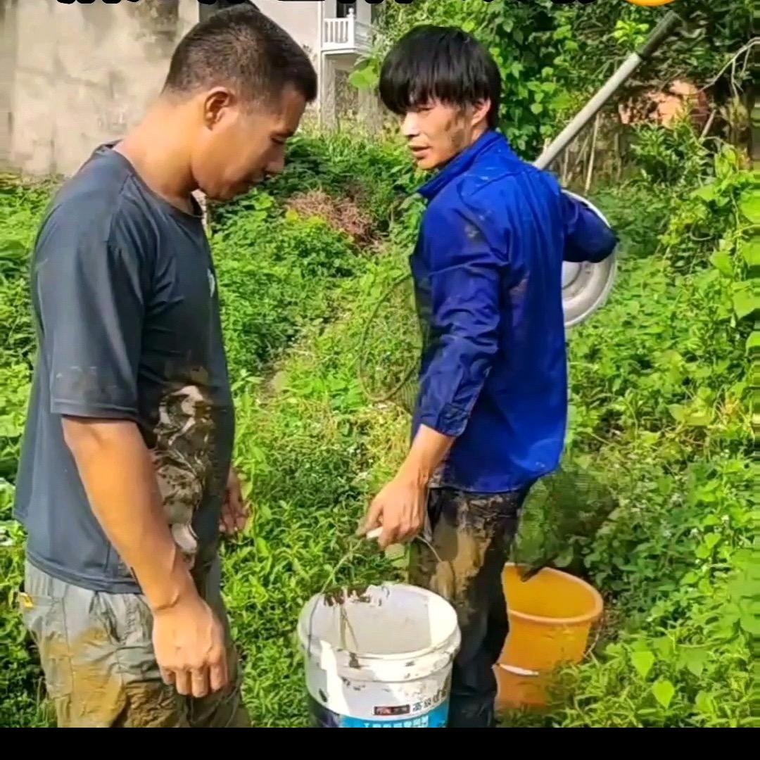 东陈阿杰