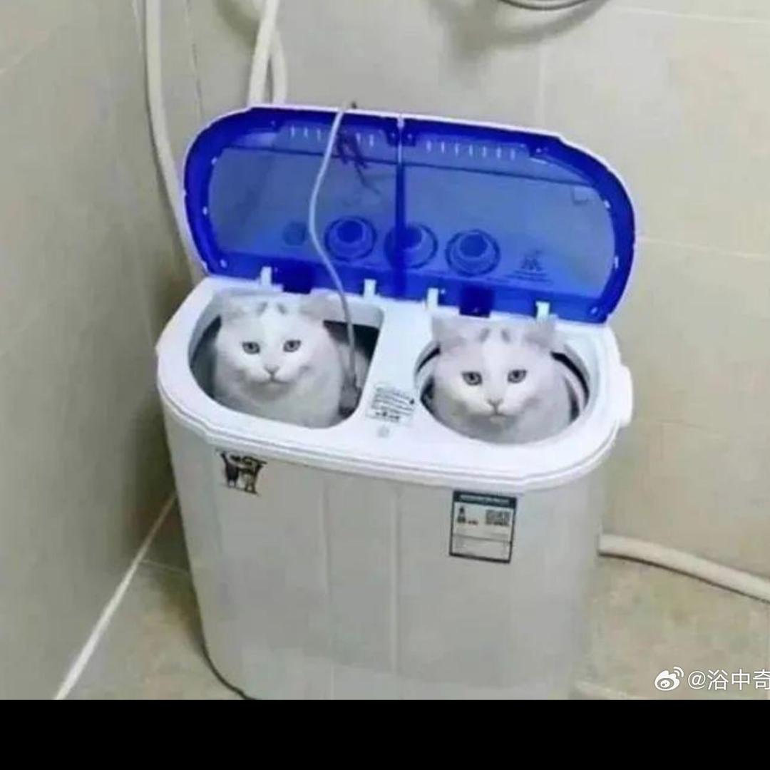 蒙头大睡
