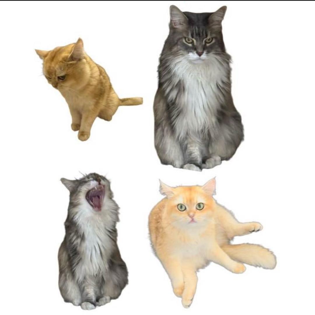 00oo