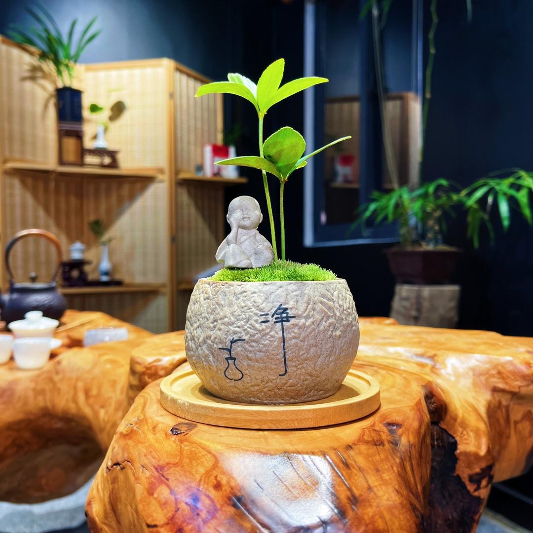 熹朵花卉