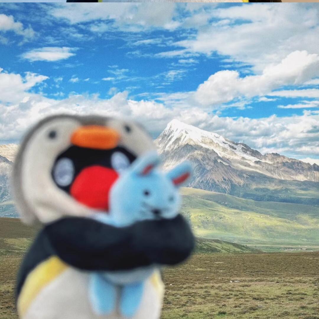 山屿夏