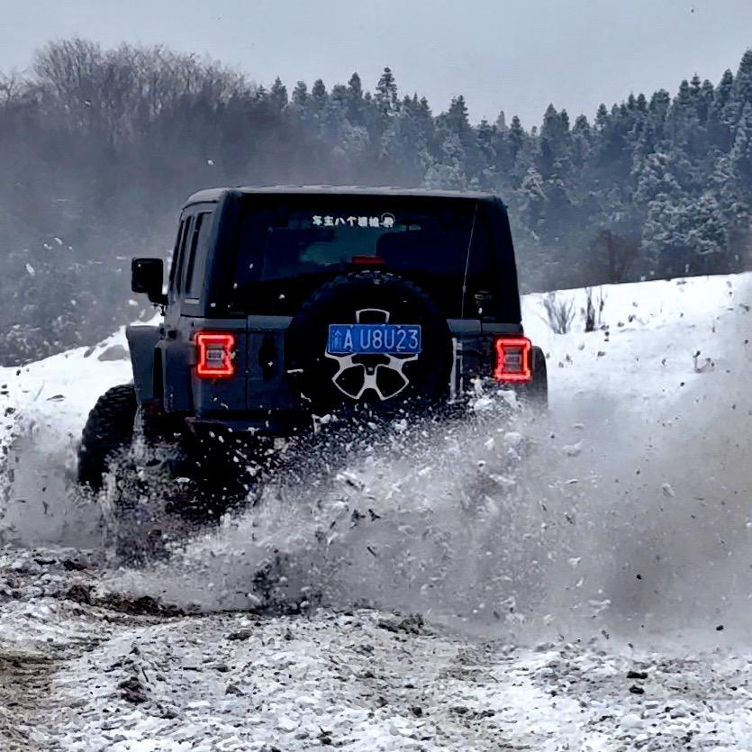 Life is a wilderness