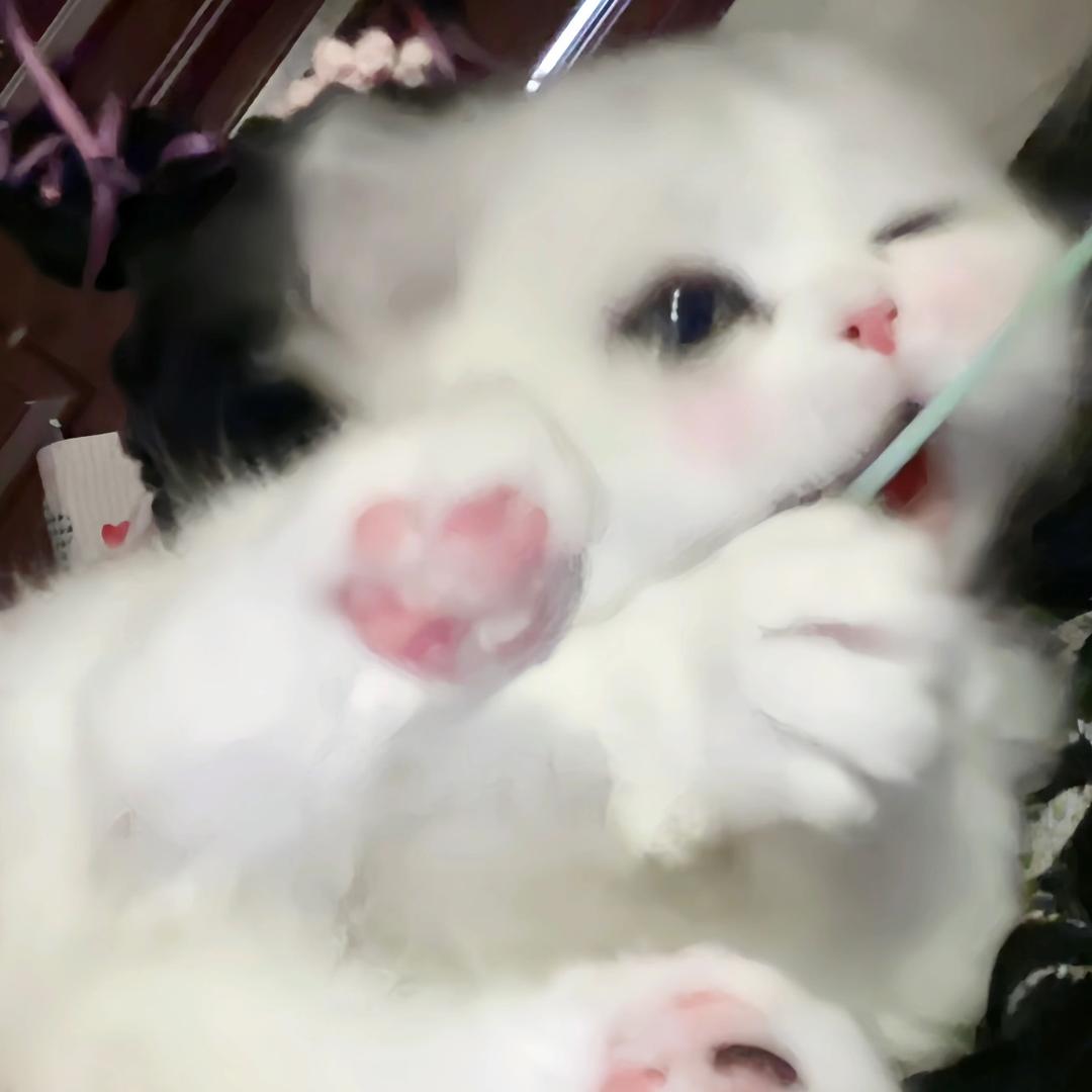 摇了肉肉叭🎱