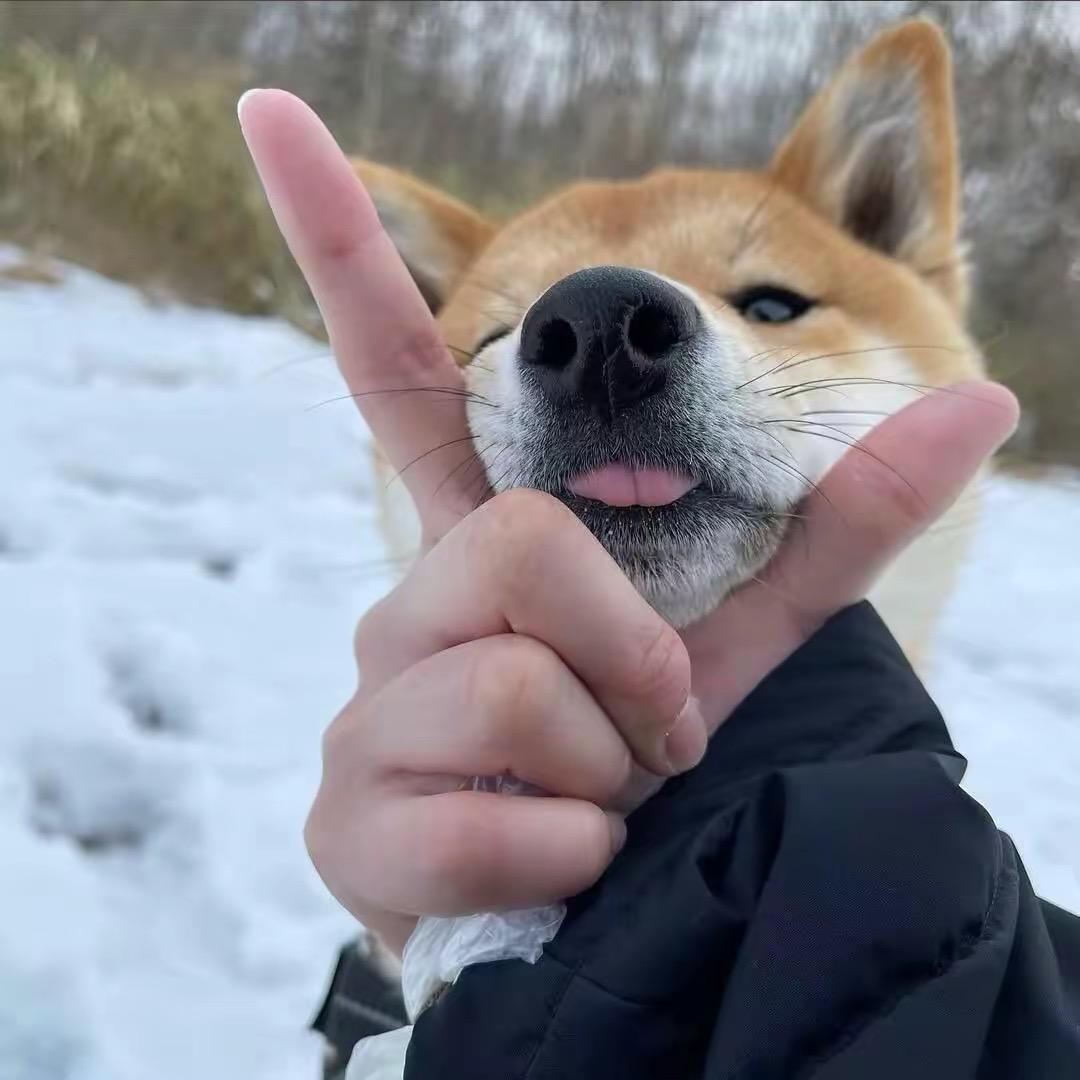 小张.