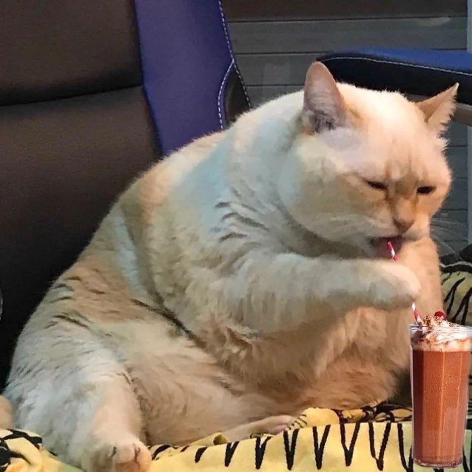 十一点半就睡觉