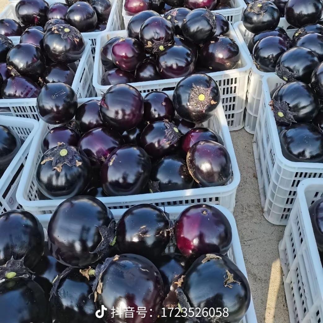 喜香甜综合配送