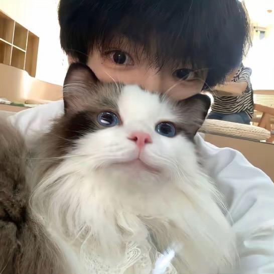 楚新